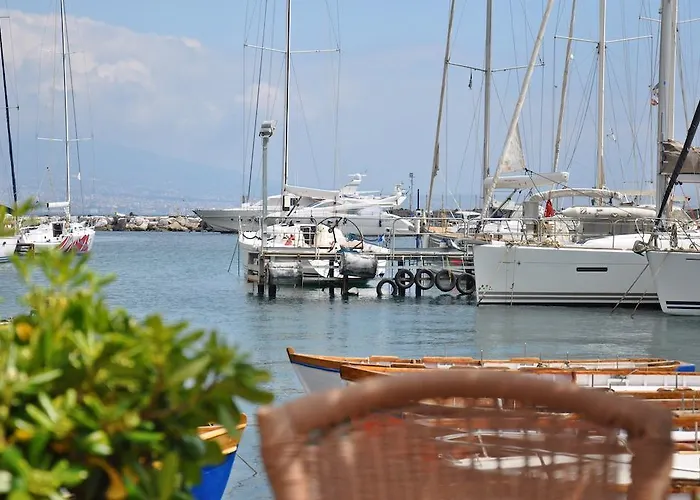 The Royals Experience